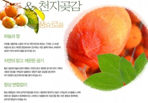 1357285804상세정보