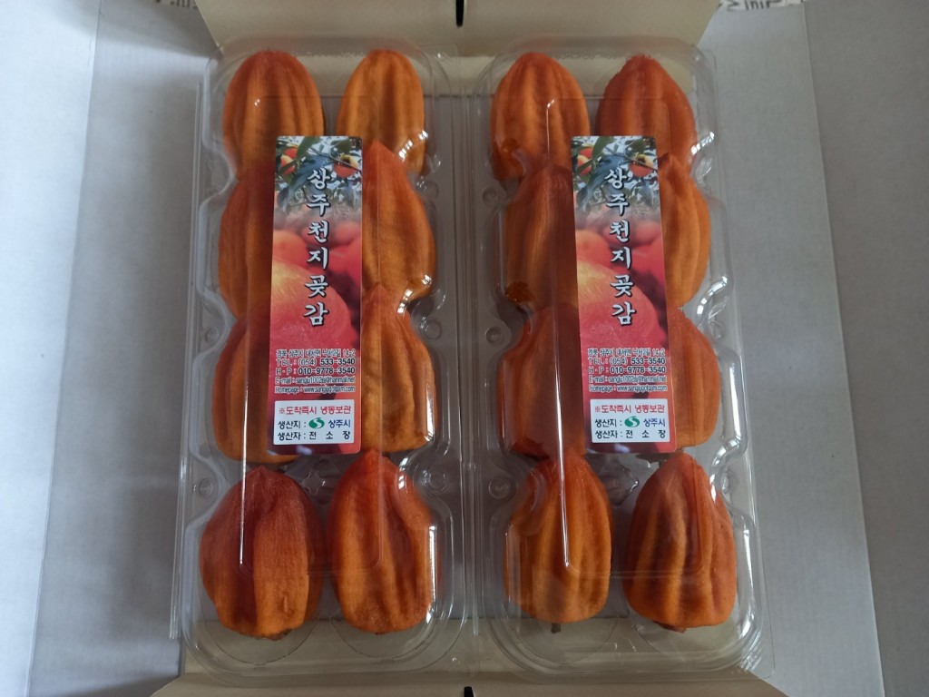KakaoTalk_20250108_131818649
